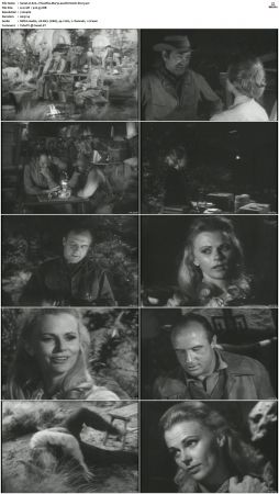 Wagon Train S01-S08 DVDRip XviD-cOOt