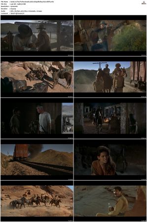 The Professionals 1966 1080p BluRay h264-XBiTs