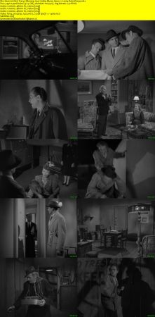 Dick Tracys Dilemma 1947 1080p Bluray Opus 2.0 x264-RetroPeeps