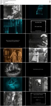 The Ocean Waif 1916 1080p BluRay x264-OFT