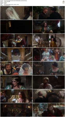 The Taming of the Shrew 1967 1080p BluRay DDP 2.0 10bit H265-iVy