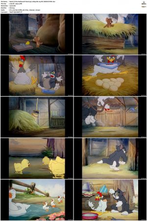 Fine Feathered Friend 1942 1080p Blu-ray AVC REMUX-WiKi