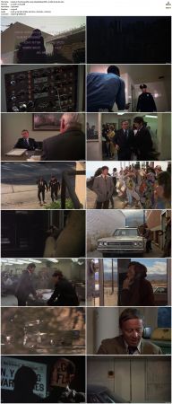 The Stone Killer 1973 1080p BluRay DDP 2.0 10bit H265-iVy