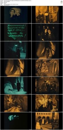 The Cabinet of Dr. Caligari 1920 UHD BluRay Remux 2160p SDR HEVC DTS-HD MA 5.1-ZQ