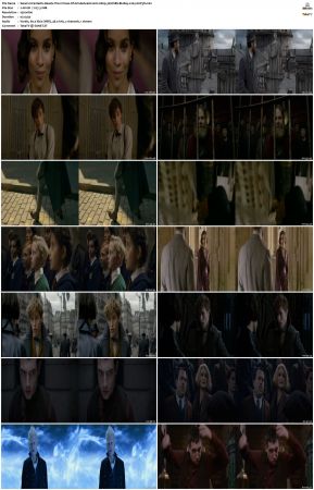 Fantastic Beasts The Crimes Of Grindelwald 2018 1080p 3D HSBS BluRay x264-SUP3R