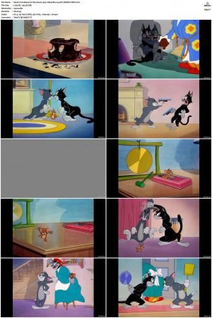 A Mouse in the House 1947 1080p Blu-ray AVC REMUX-WiKi