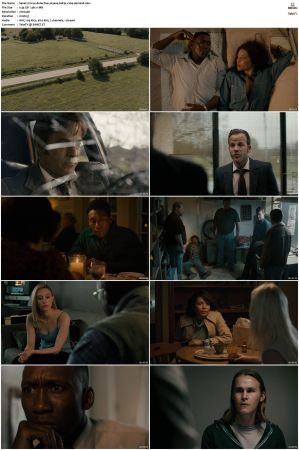 True Detective S01 S04 BDRip x264-Scene