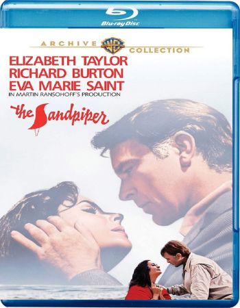The Sandpiper 1965 1080p BRRip x264-Classics