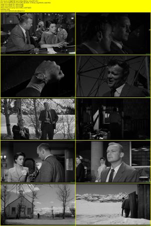 Nightfall 1956 1080p BluRay x264-OFT
