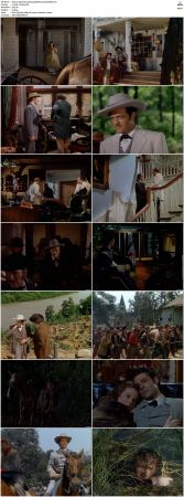 Tap Roots 1948 720p BluRay x264-OLDTiME