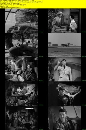 Flying Tigers 1942 1080p BluRay x264-OFT
