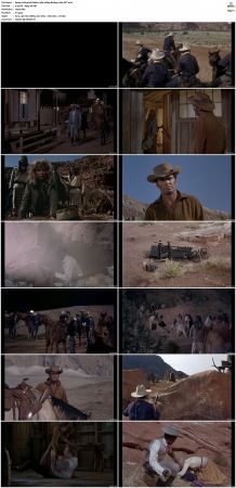 Duel at Diablo 1966 1080p BluRay x264-OFT