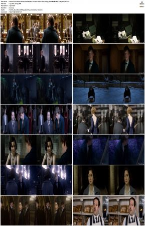 Fantastic Beasts And Where To Find Them 2016 1080p 3D HSBS BluRay x264-SUP3R