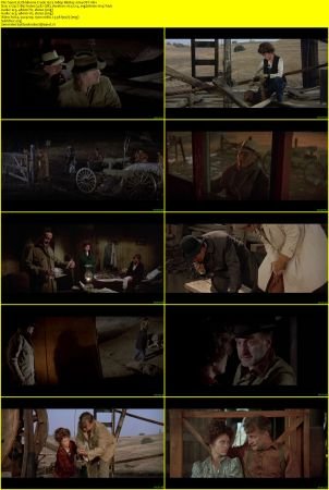 Oklahoma Crude 1973 1080p BluRay x264-OFT