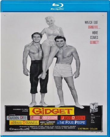 Gidget 1959 1080p BluRay x264-OFT