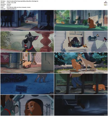 Lady and the Tramp 1955 1080p BluRay DD5.1 H265-d3g