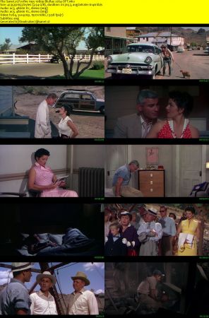 Foxfire 1955 1080p BluRay x264-OFT