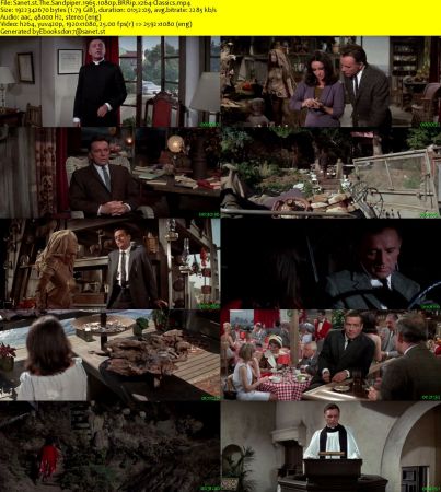 The Sandpiper 1965 1080p BRRip x264-Classics