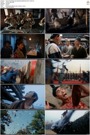Tai Chi Master 1993 1080p Bluray REMUX AVC FLAC 2.0-GHD