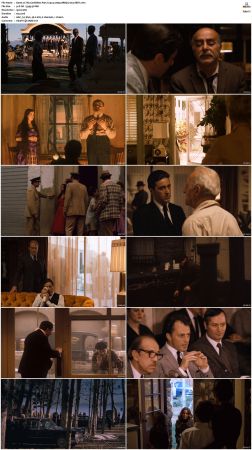 The Godfather Part II 1974 1080p BRRip h264-XBiTs