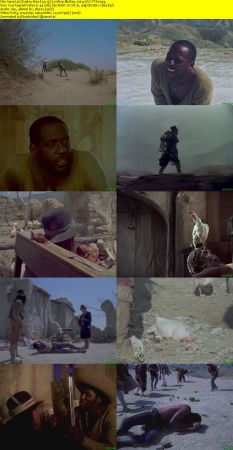 Charley-One-Eye 1973 1080p BluRay x264 AAC-YTS