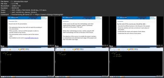 SAP Project Lifecycle