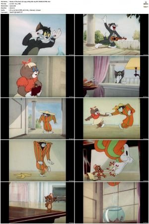 The Zoot Cat 1944 1080p Blu-ray AVC REMUX-WiKi