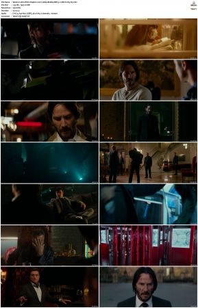 John Wick Chapter 2 2017 1080p BluRay DDP 5.1 10bit H265-iVy
