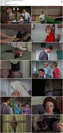 That Darn Cat 1965 1080p WEBRip DDP 2.0 10bit H265-iVy