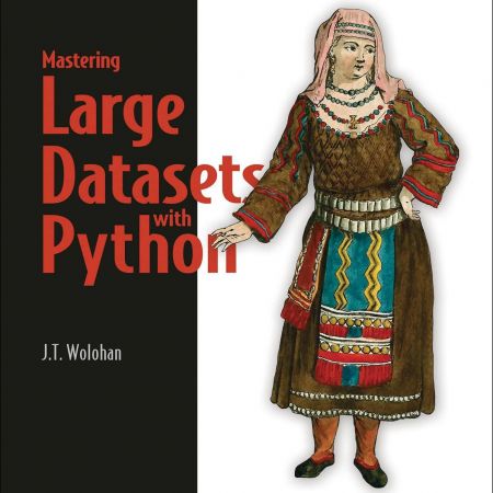 Mastering Large Datasets with Python: Parallelize and Distribute Your Python Code (Audiobook)