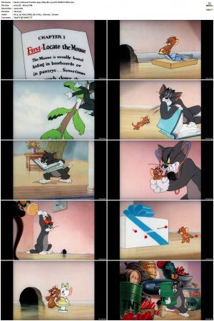 Mouse Trouble 1944 1080p Blu-ray AVC REMUX-WiKi