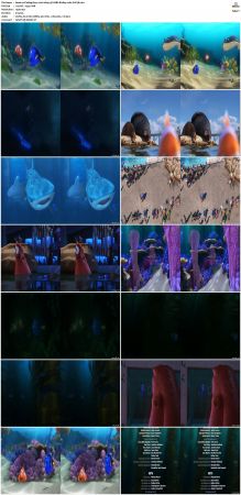 Finding Dory 2016 1080p 3D HSBS BluRay x264-SUP3R