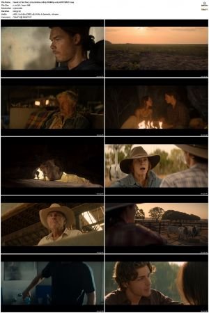 Territory 2024 S01 1080p WEBRip x265-KONTRAST