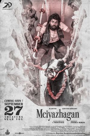 Meiyazhagan 2024 2160p NF WEB-DL H265 DDP5.1-Tyrell