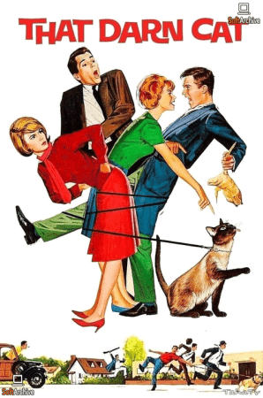 That Darn Cat 1965 1080p WEBRip DDP 2.0 10bit H265-iVy