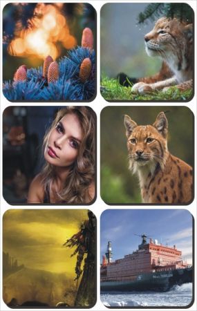 Mix Beautiful Wallpapers Best Collection pack 511