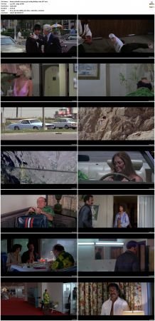 Death Journey 1976 1080p BluRay x264-OFT