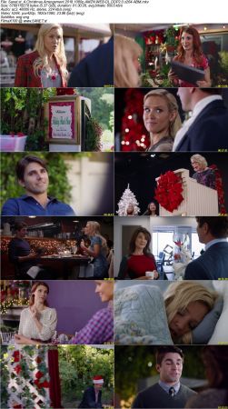 A Christmas Arrangement (2018) 1080p WEBRip x264 AAC 5.1-LAMA