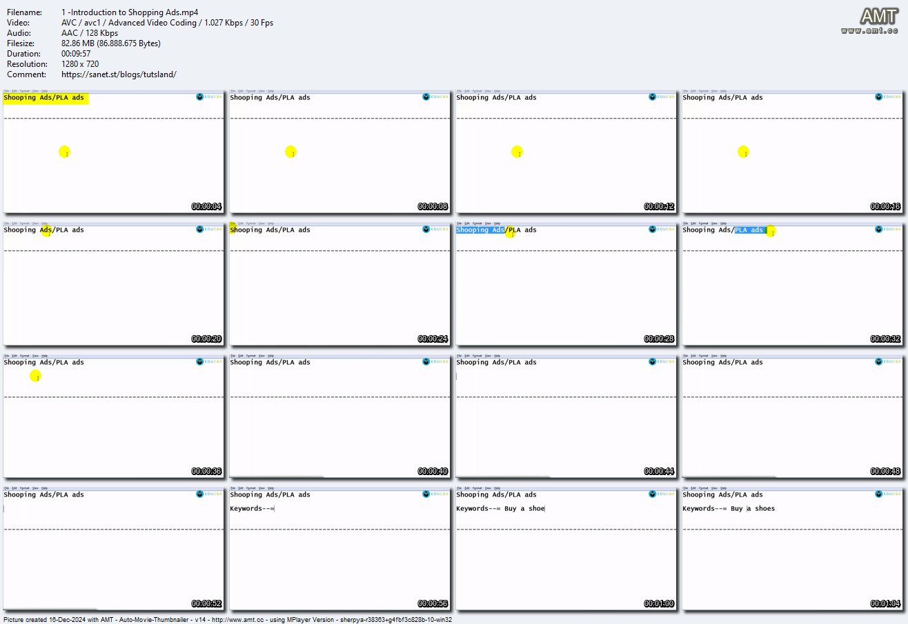Google Ads (Adwords) Fundamentals: A Step-by-Step Guide - SoftArchive