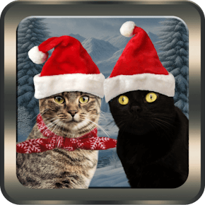 Suddenly Meow Christmas macOS