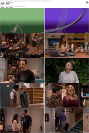 The Big Bang Theory S01-S12 1080p BluRay 10bit x265 HEVC DDP5.1-PHOCiS