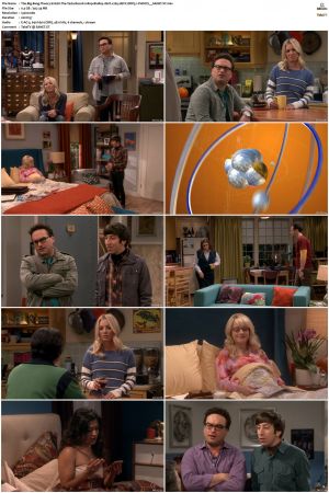 The Big Bang Theory S01-S12 1080p BluRay 10bit x265 HEVC DDP5.1-PHOCiS