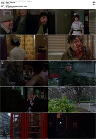 An American Werewolf in London 1981 REPACK 1080p BluRay x264-SCENE
