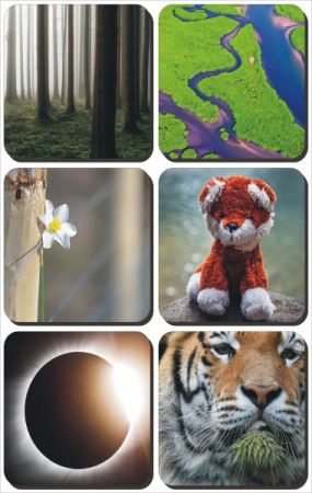 Mix Beautiful Wallpapers Best Collection pack 581