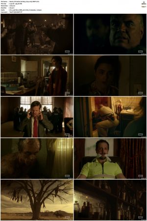 Preacher S01 720p x265-MeGusta