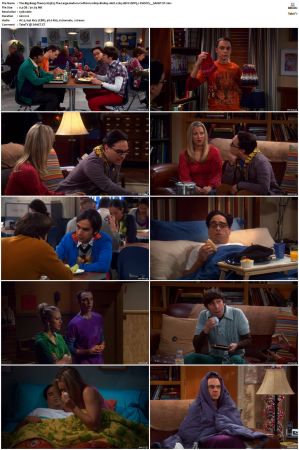 The Big Bang Theory S01-S12 1080p BluRay 10bit x265 HEVC DDP5.1-PHOCiS