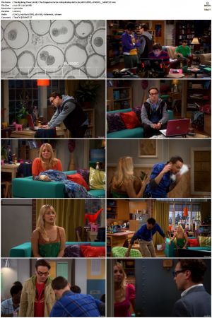 The Big Bang Theory S01 S12 1080p BluRay 10bit x265 HEVC DDP5 1-PHOCiS