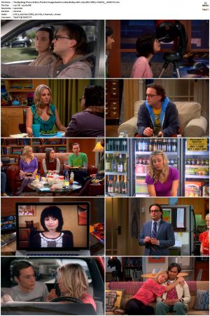 The Big Bang Theory S01-S12 1080p BluRay 10bit x265 HEVC DDP5.1-PHOCiS