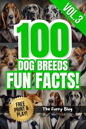 100 Dog Breeds Fun Facts!