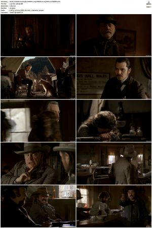Deadwood S01 S03 NORDiC 720p WEB-DL H 265 DDP2 0-CiNEMiX
